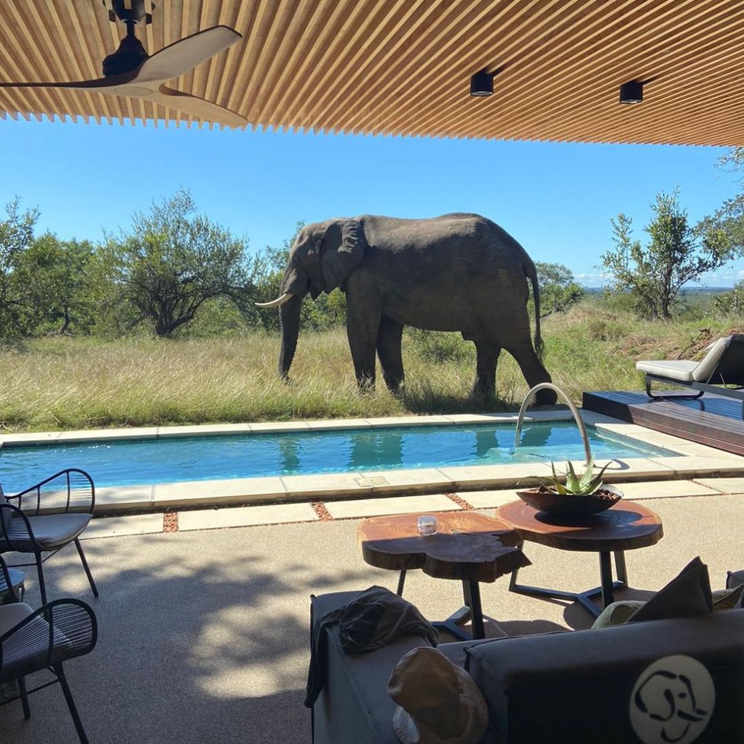 Zambia Safari Adventure Snack