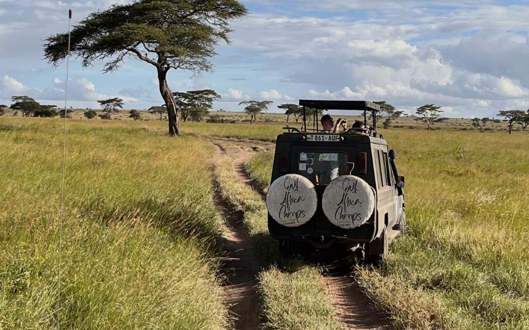 Tanzania en julio: El mejor momento para visitar y disfrutar del lujo y la aventura