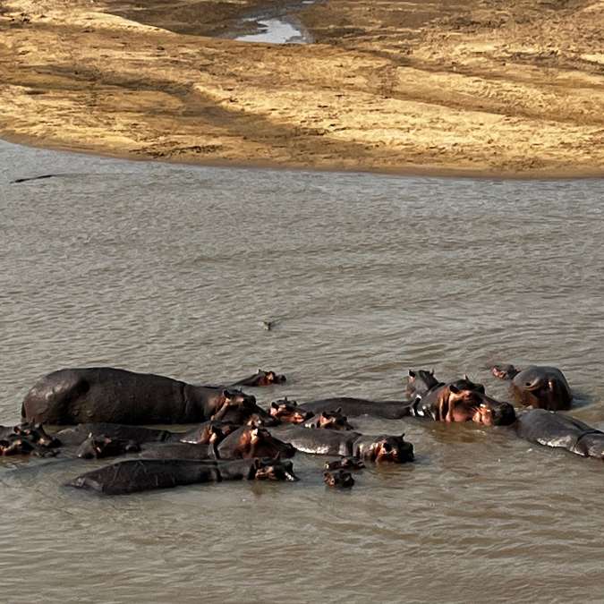 Zambia - Victoria Falls - Devil's Pool