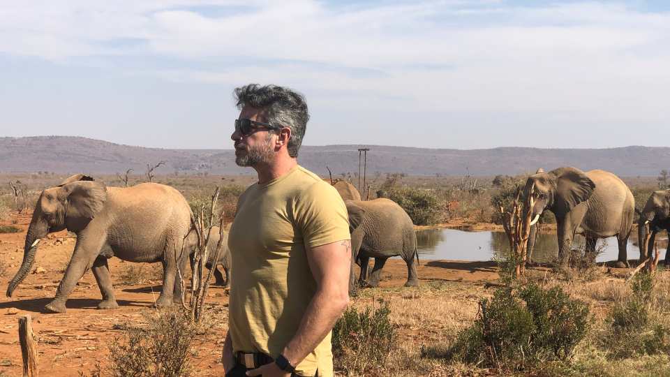 Vino Sudafricano y Safari: La Combinación de Lujo Definitiva
