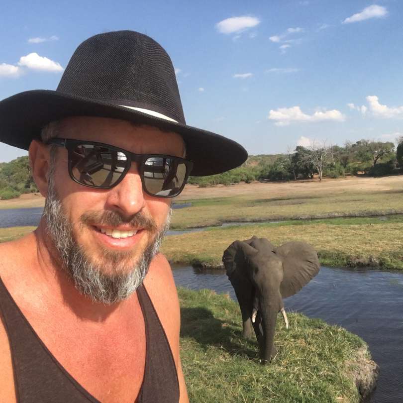 Elephant on Safari in Botswana