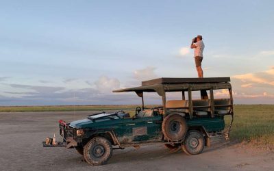 Okavango Odyssey: A Guide to Wildlife and Nature in the Delta