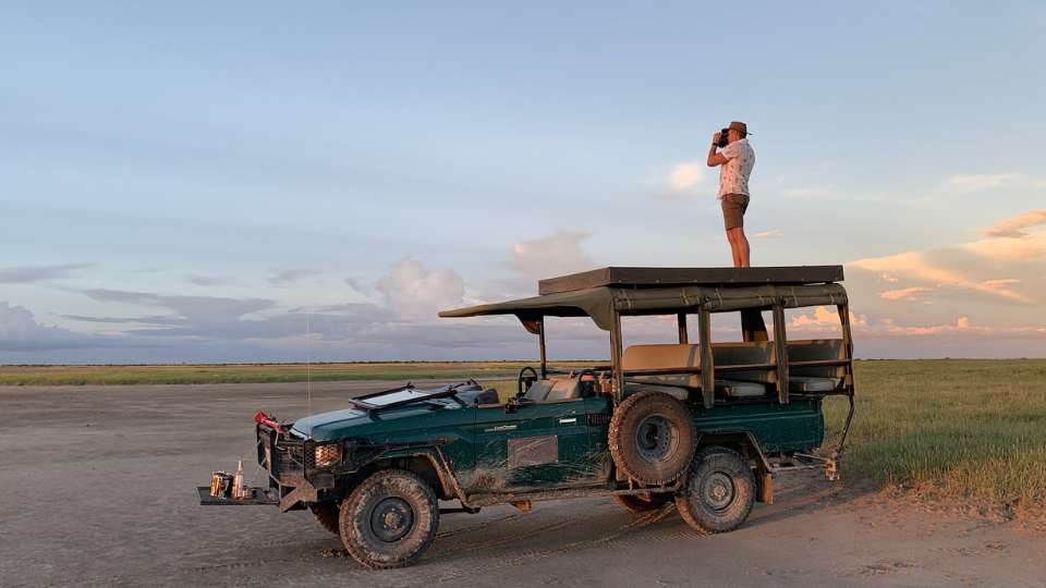 Okavango Odyssey: Una guía de vida silvestre y naturaleza en el Delta