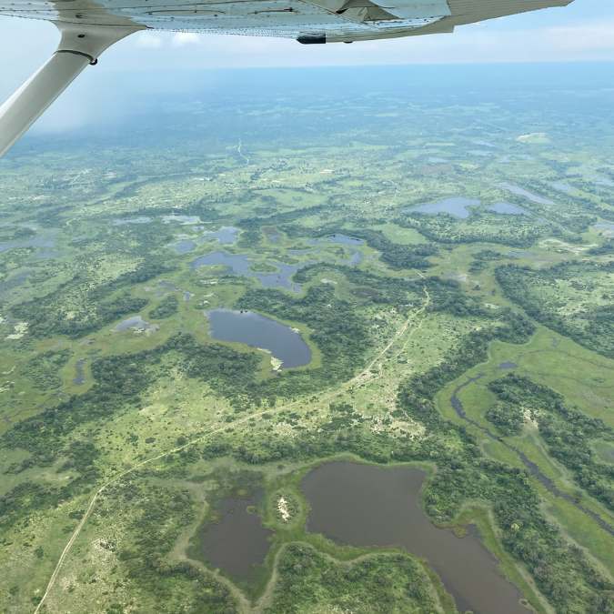 Migración de Kenia.