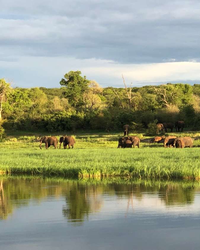 Nanan Travel - Balancing Luxury & Wilderness in African Safaris _ Ultimate Guide-viewing hippopotomus from lodge deck