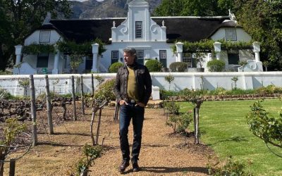 Vintage South Africa: Five Wine Experiences Reserved for the Cultured Palate