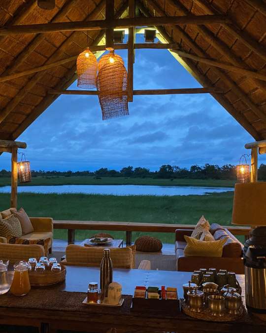 Nanan Travel - Balancing Luxury & Wilderness in African Safaris _ Ultimate Guide-lion sighting on a safari
