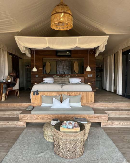 Nanan Travel - Balancing Luxury & Wilderness in African Safaris _ Ultimate Guide-lion sighting on a safari