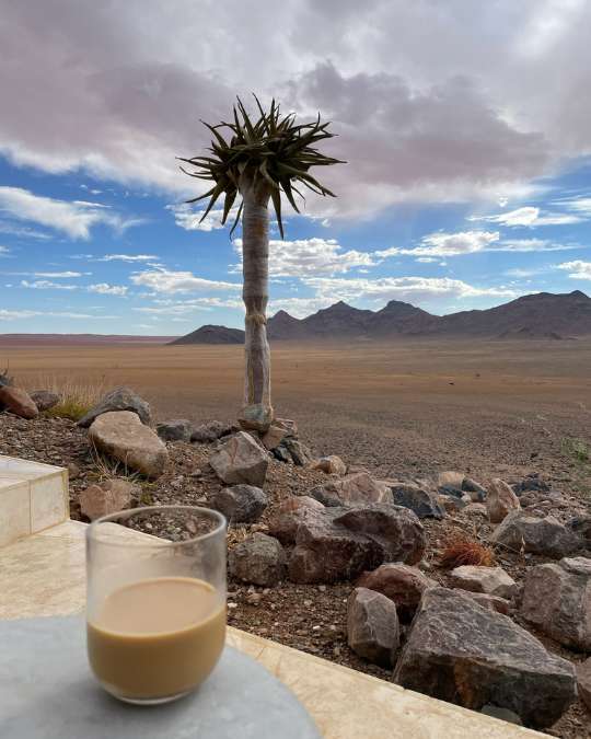 Nanan Travel - Balancing Luxury & Wilderness in African Safaris _ Ultimate Guide-lion sighting on a safari