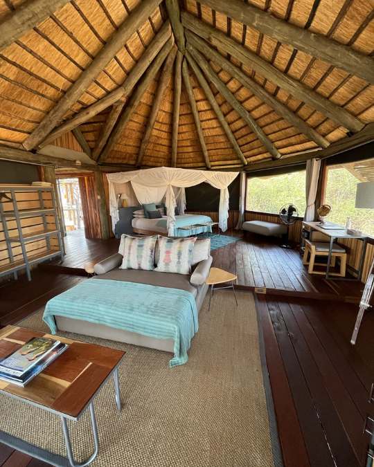Nanan Travel - Balancing Luxury & Wilderness in African Safaris _ Ultimate Guide - Lioness and cubs<br />
