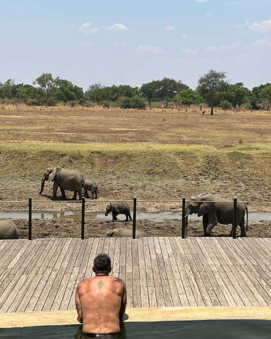 Nanan Travel - Balancing Luxury & Wilderness in African Safaris _ Ultimate Guide- clients on safari