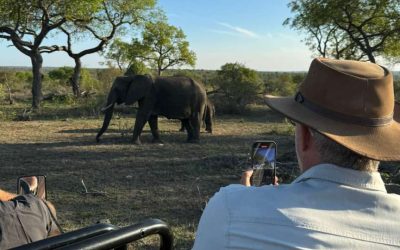 8 Things to Know Before Your First Safari